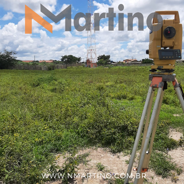 laudo de verticalidade brasil.png